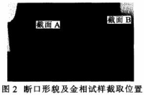 图2 断口形貌及金相试样截取位置